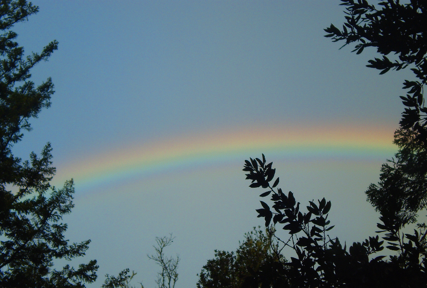 Eddie-G rainnbow